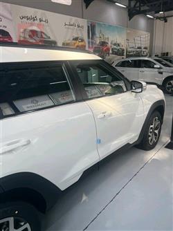 سانغ يونغ توريس